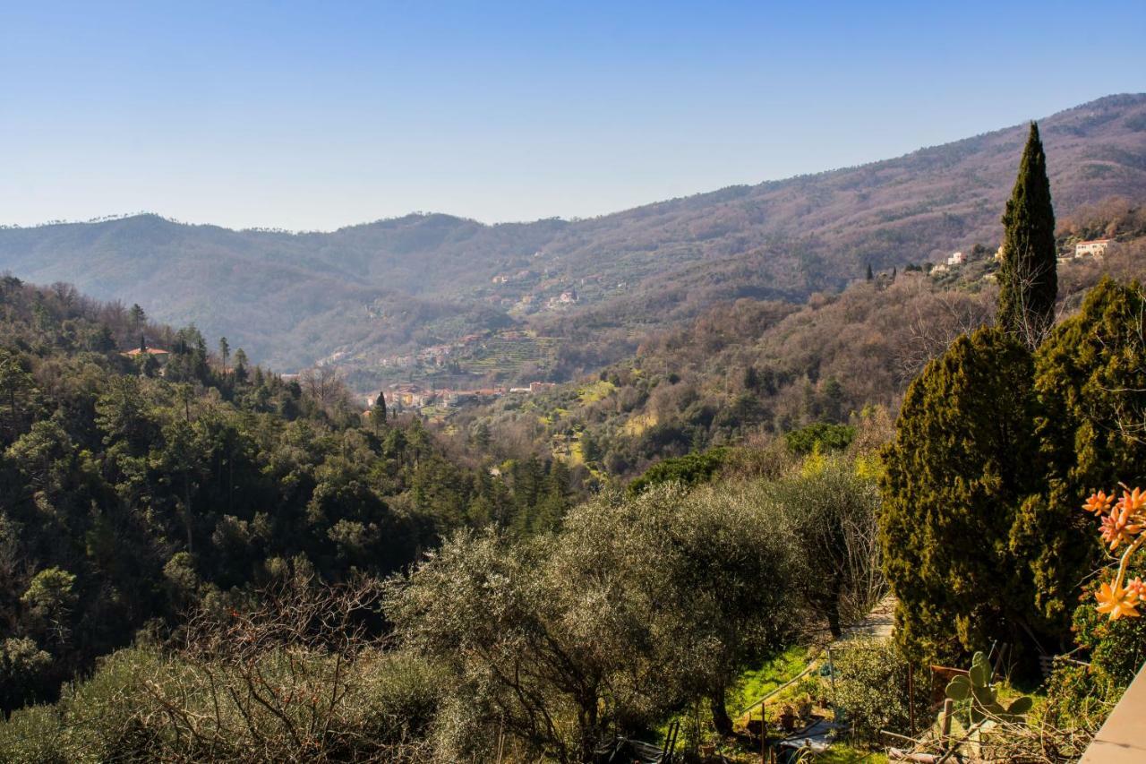Agriturismo A Ca Vegia Calice Ligure Exteriér fotografie